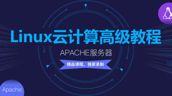 千锋最新Linux云计算高级教程 Apache服务器的配置、安装与使用实战